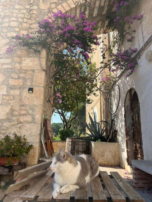 Casa Masseria Dell'800 Gargano. Le Mignole Monte SantʼAngelo Exterior foto